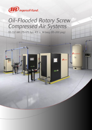 irits-0818-079-euen-0321-oil-flooded-55-132-kw-brochure
