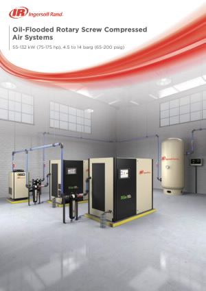 irits-0818-079-euen-0823-euen-55-132-kw-oil-flooded-rotary