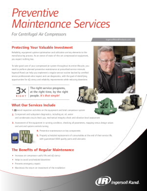 irits-0419-029-service-intervals-flyer-letter-screen