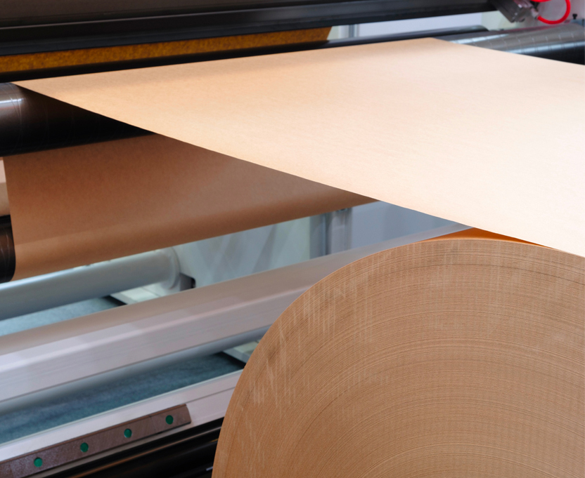 pulp-paper-and-printing_intro