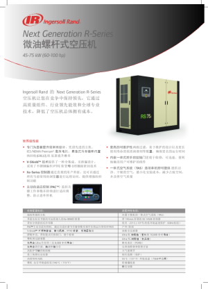 irits-0818-081-cn-oil-flooded-45-75-kw-datasheet_print