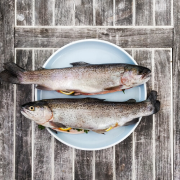 Aquaculture fish farming solutions